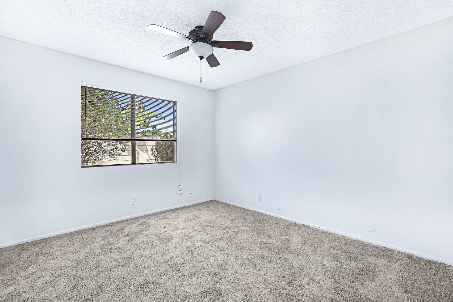 Incredible Triplex Apartment Opportunity near USC. Great Cash Flow. Vacant Lot in Rear for future Development!