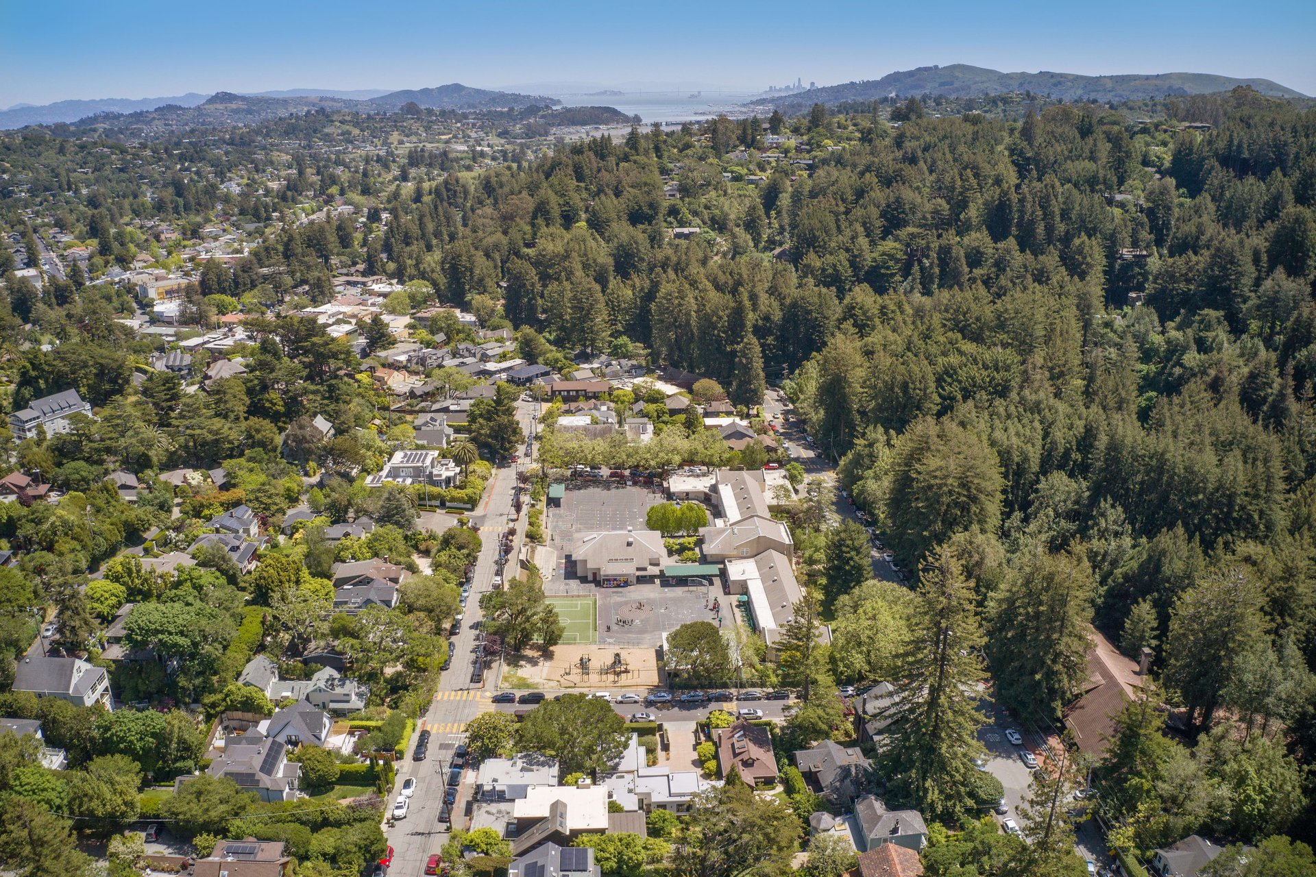 Downtown Mill Valley Contemporary Masterpiece