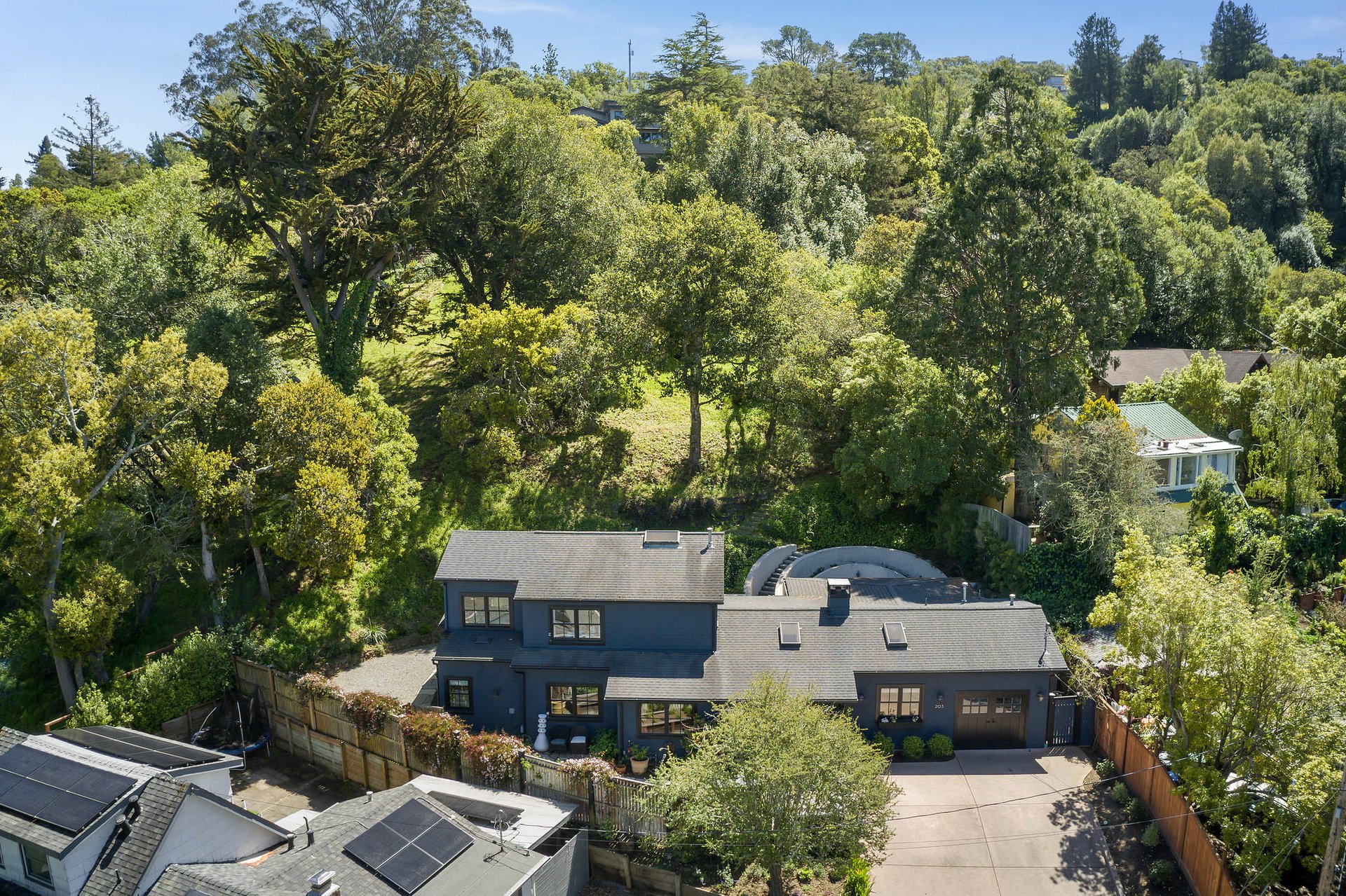 203 Princess Lane, Mill Valley