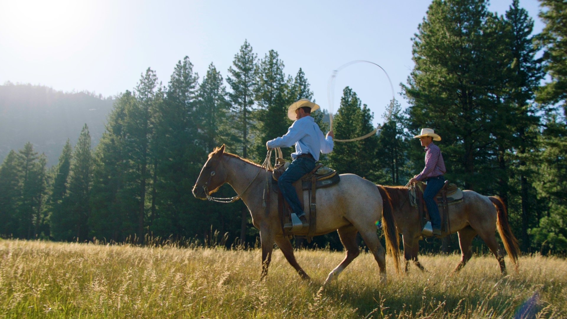 Randall Springs Ranch