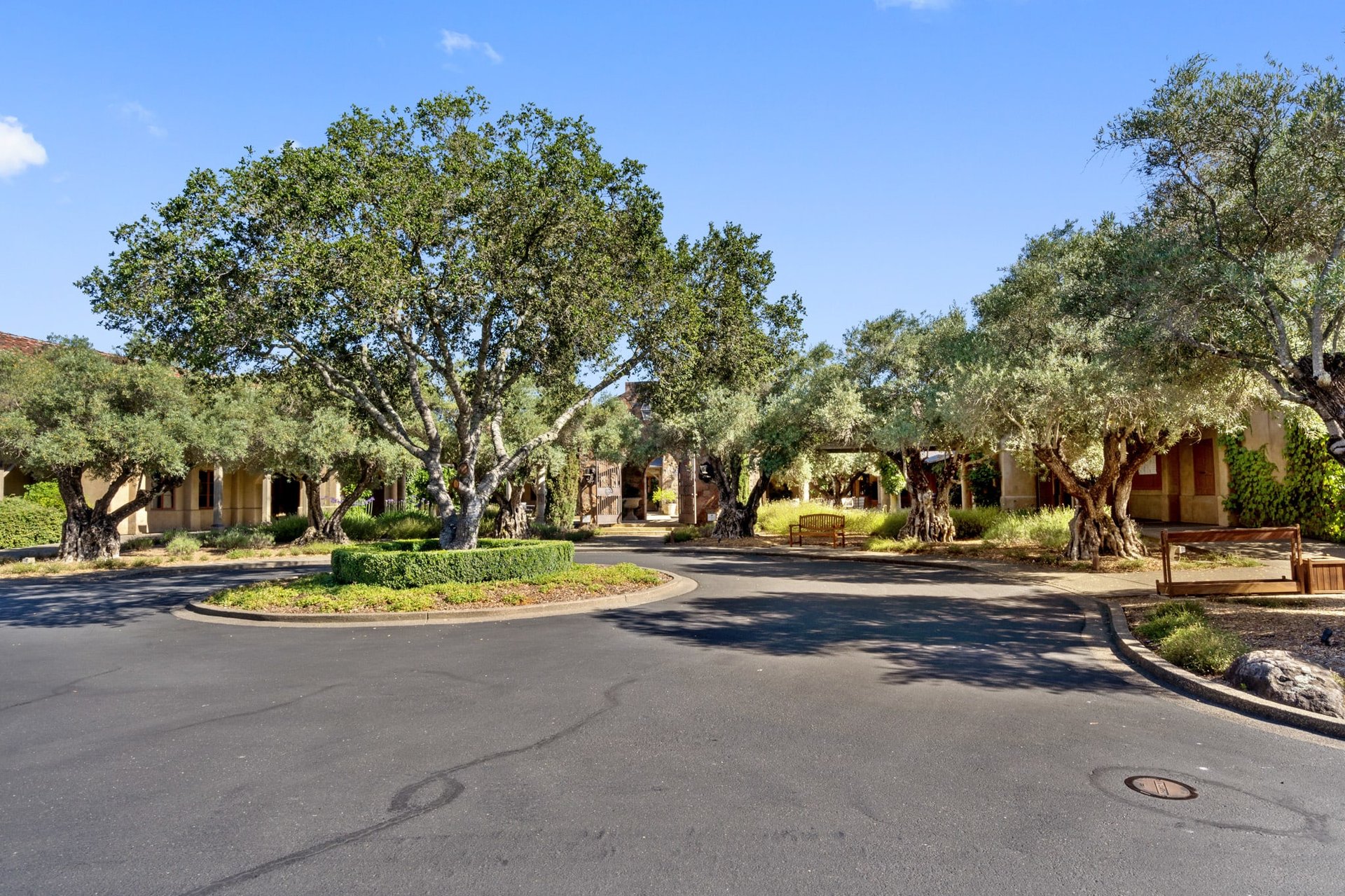 972 Cottage Valley Lane