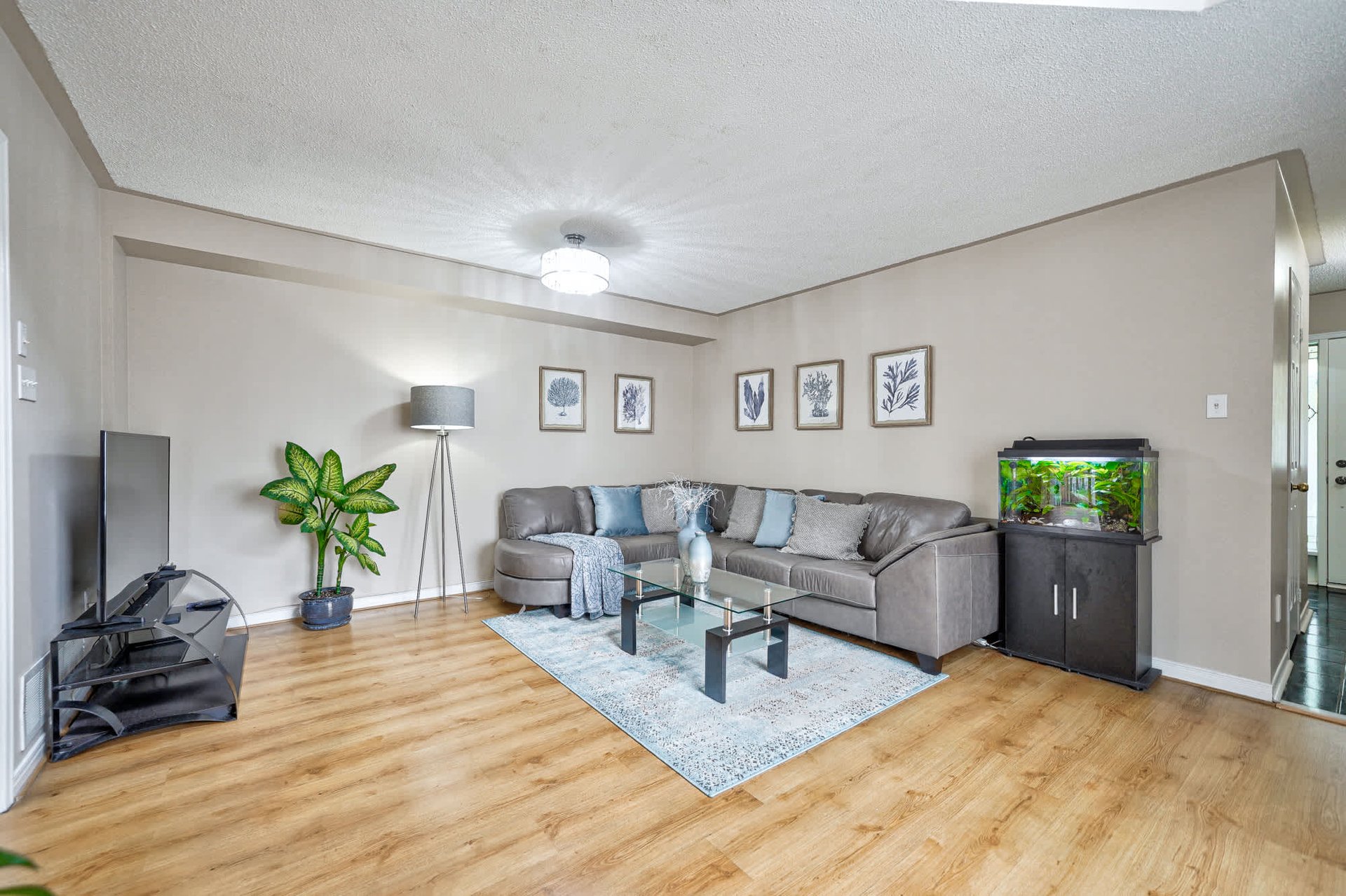6980 Dunnview Crt
