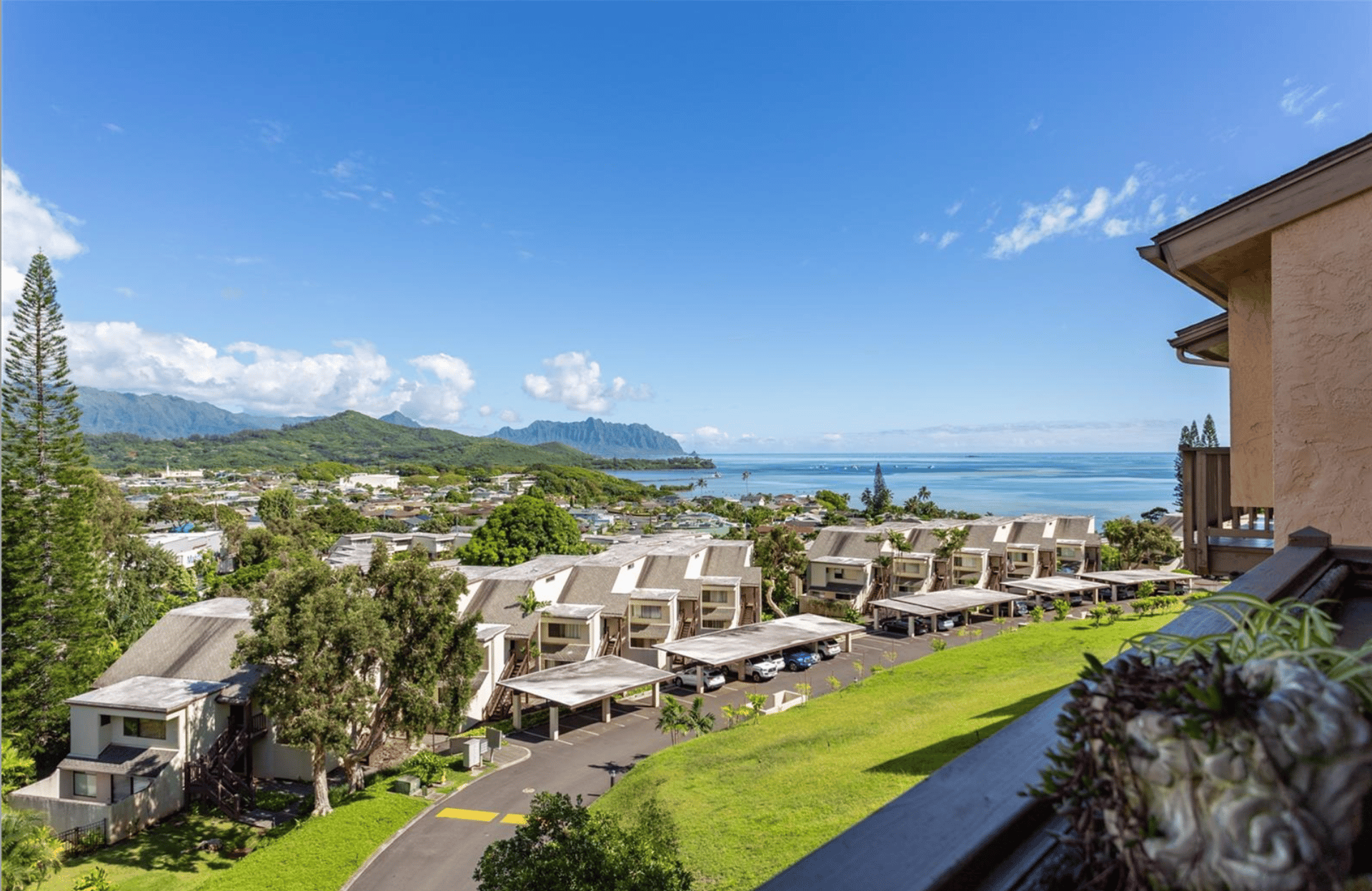 Puu Ali'i | Kaneohe 