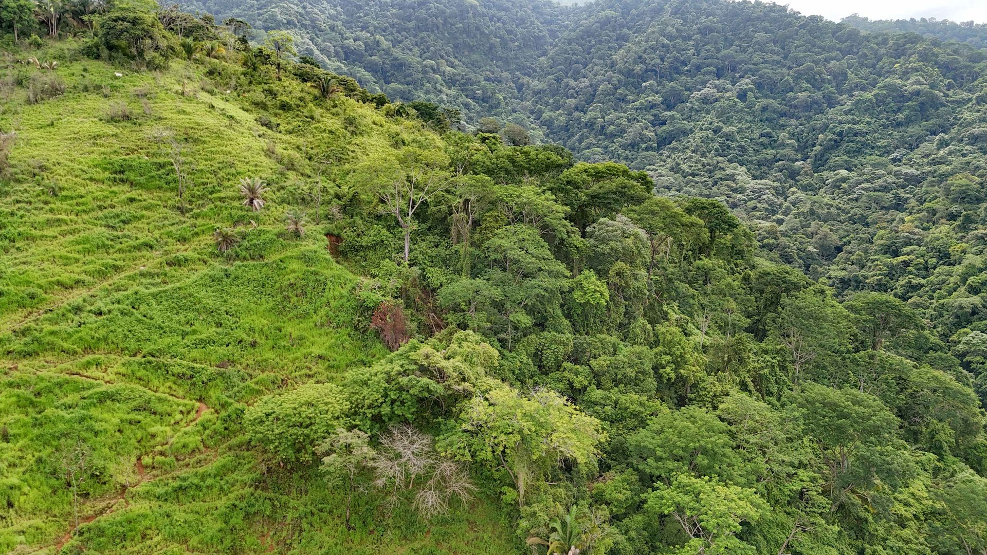 177 acre Ocean view property with multiple plantels, unspoiled mountain, jungle, river and waterfall areas