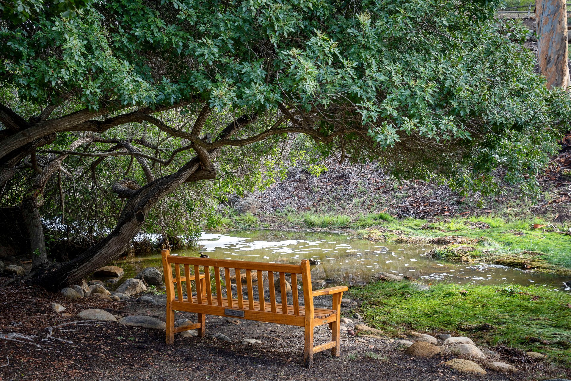 THE ICONIC FAIRBANKS RANCH LIFESTYLE