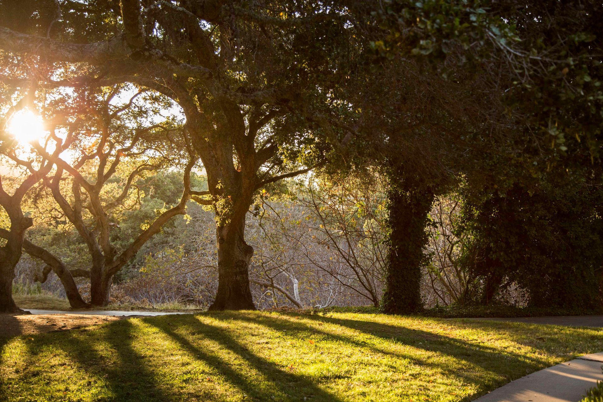 Blue Sky Lodge - Carmel Valley Village