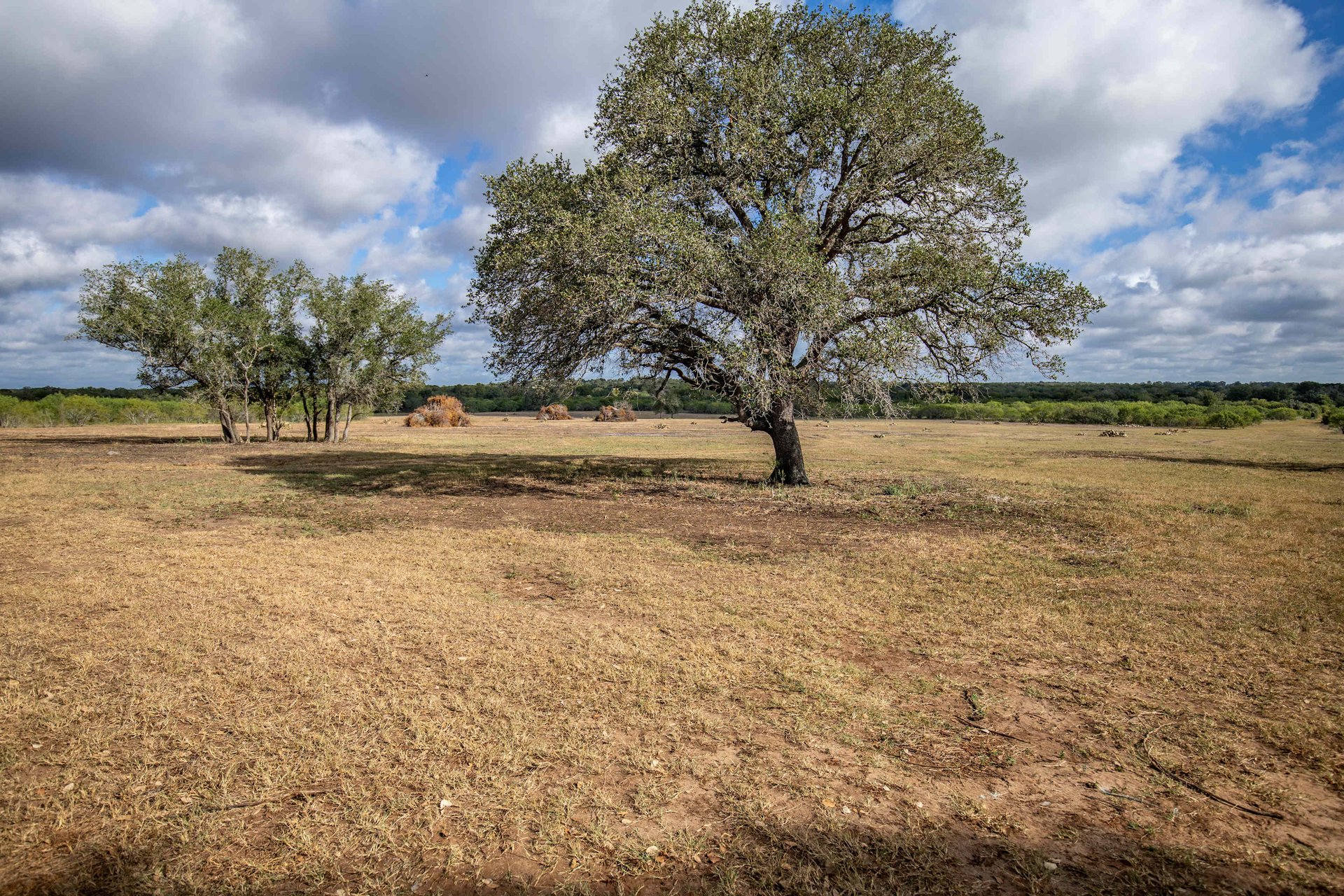 The Poco Loco | 278± Acres | DeWitt County
