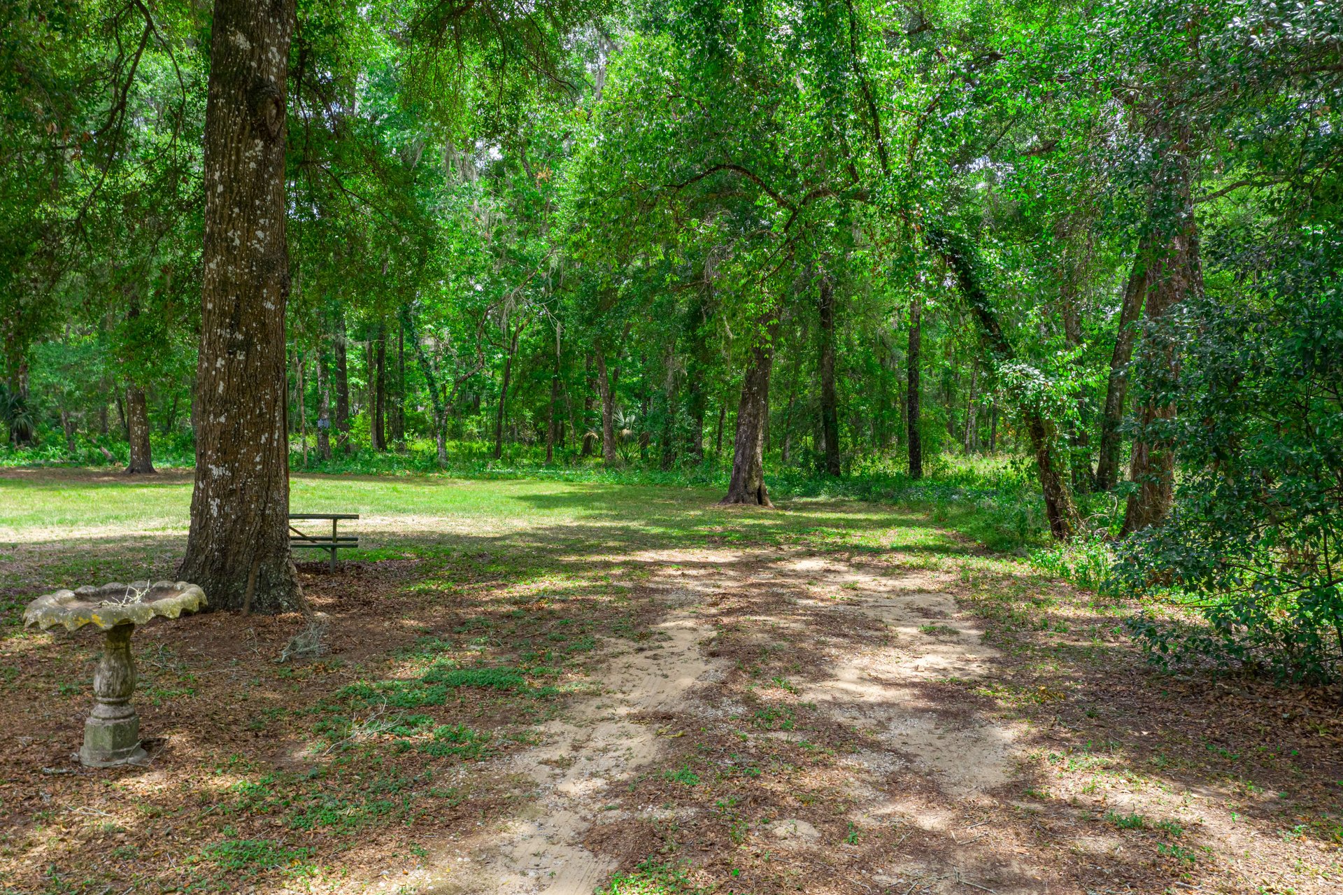 34910 TIPTON  ROAD