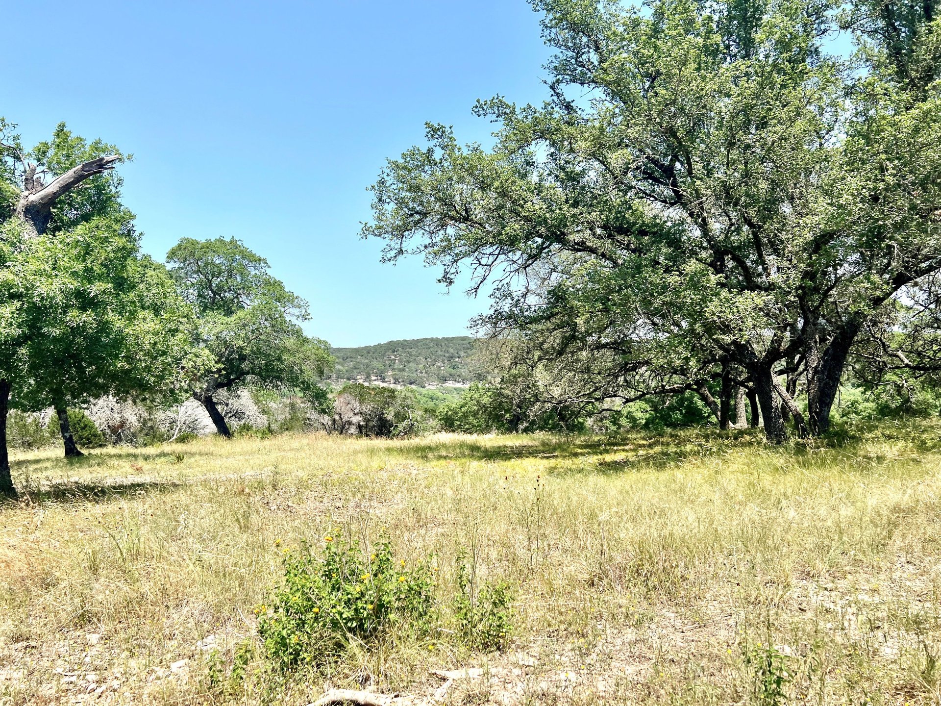 12.52 acres in Hunt