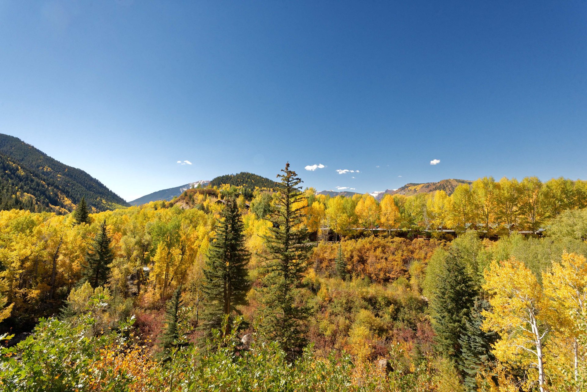 Beautiful 8 Bedroom Home in Aspen 