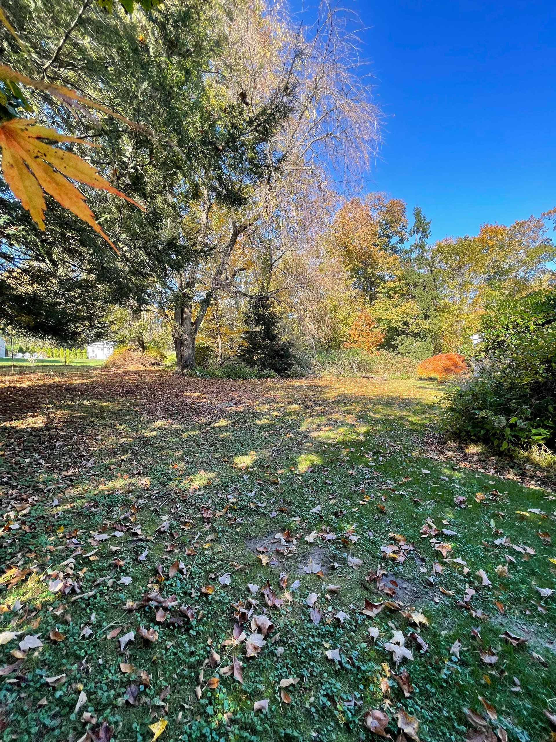 13 Fairfield Court, Ridgefield, CT