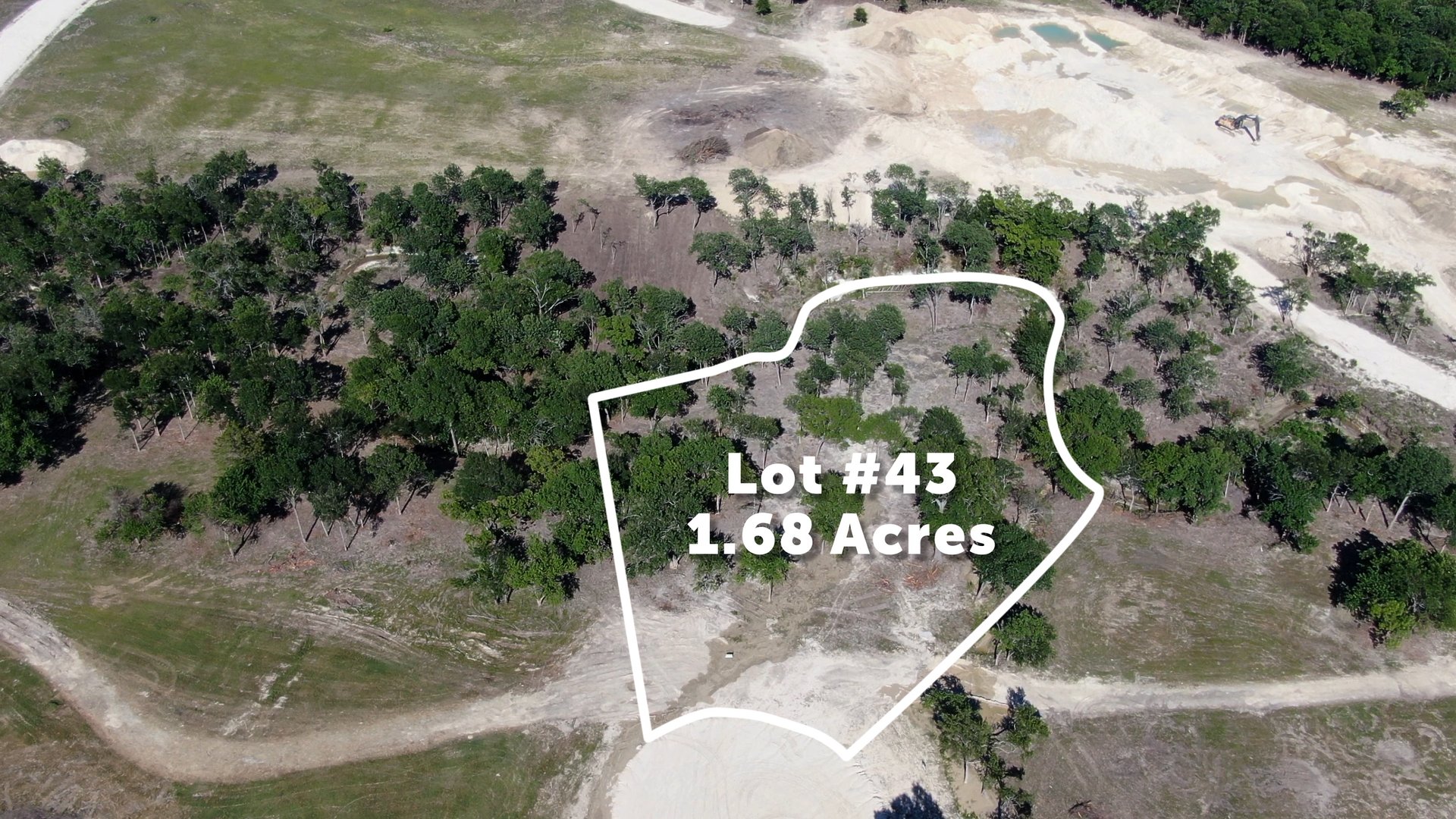 Lot 43