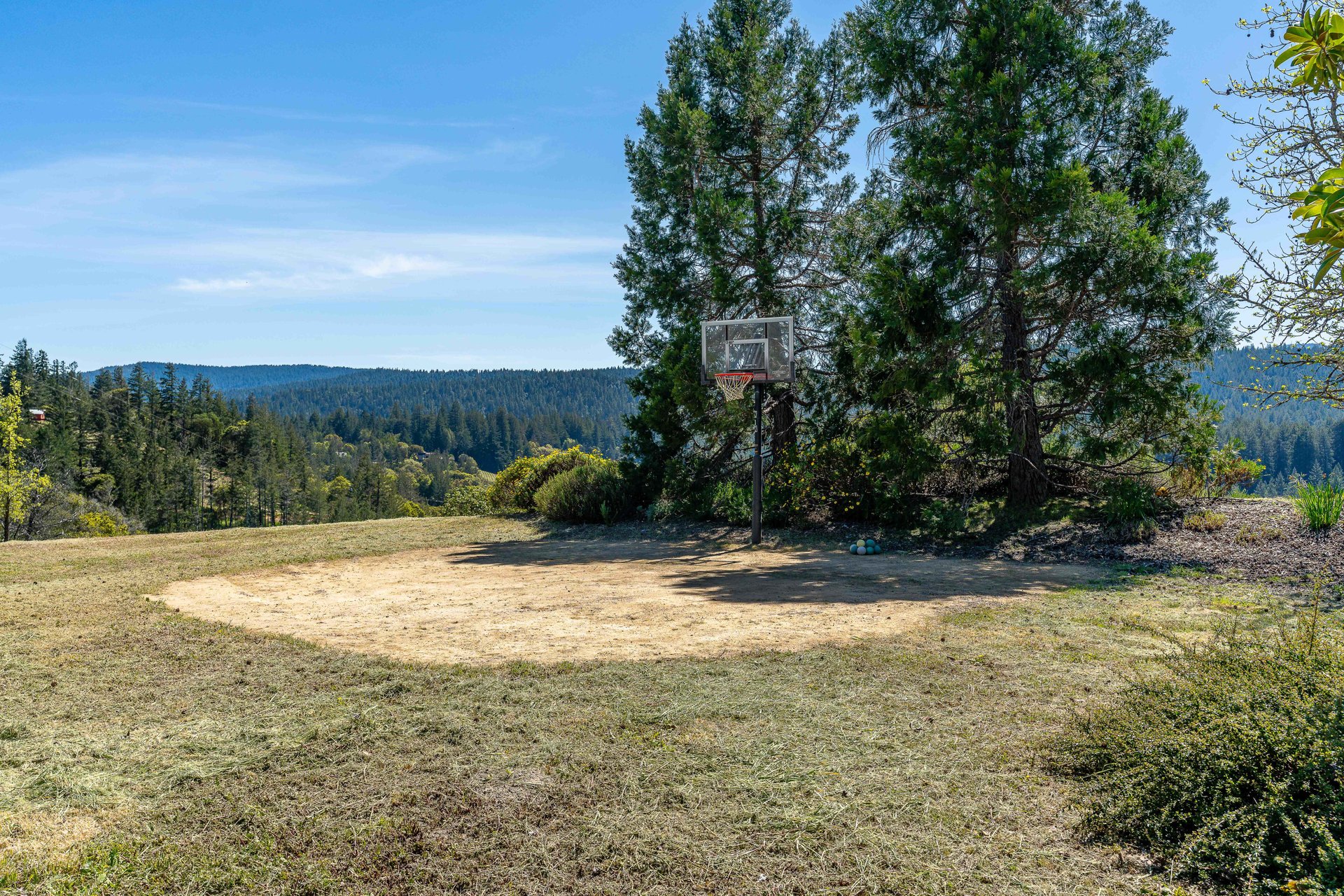 The C Ranch 