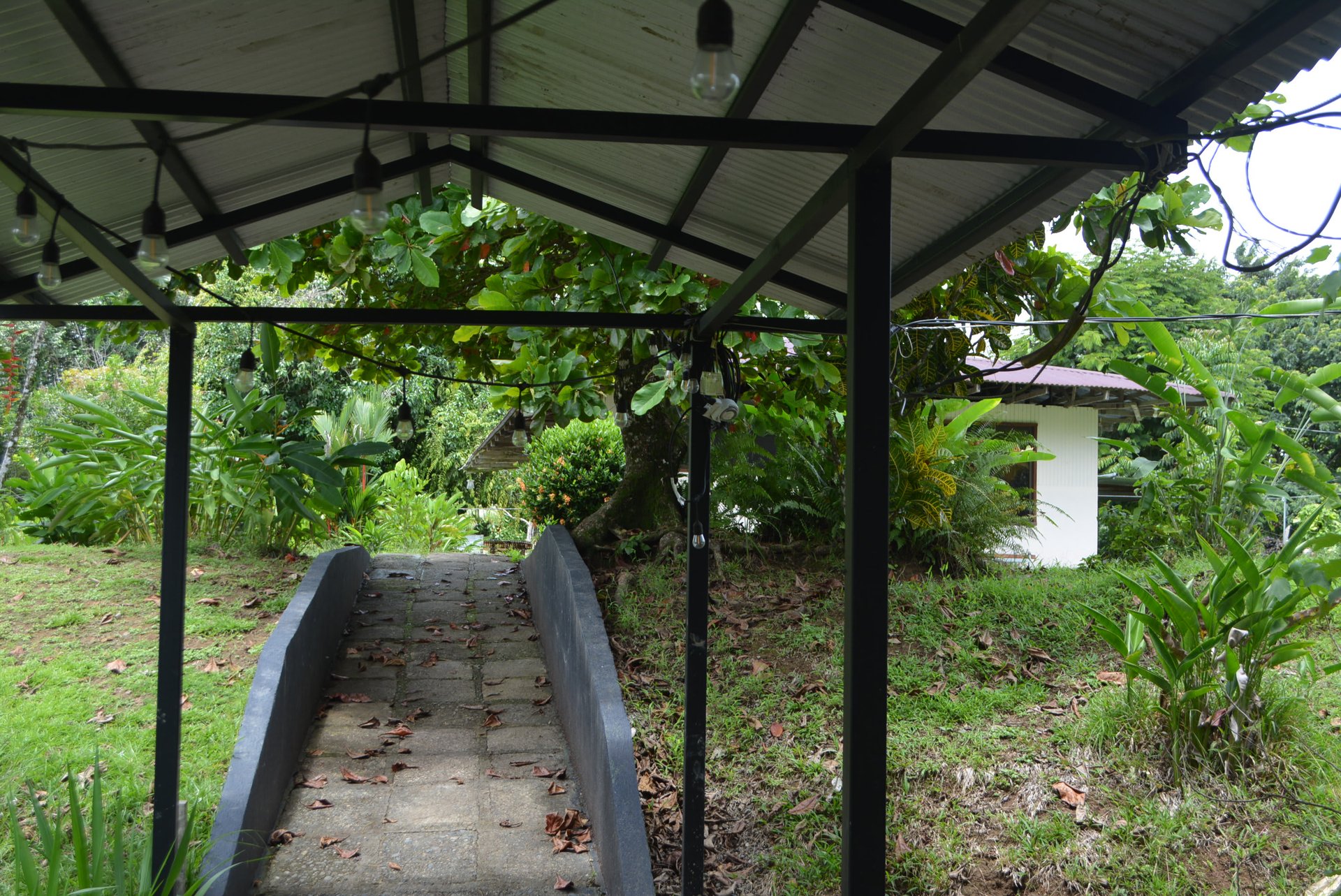 10 Acre Rio Sierpe Paradise Residential And Cabinas