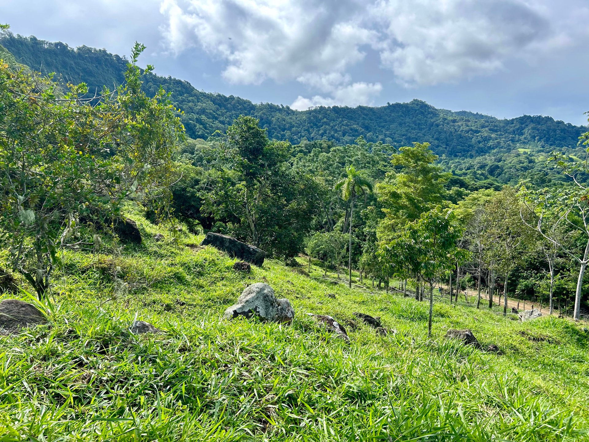 FIRE SALE!! Ocean View Farm in San Luis de Morete, Over 23 Acres