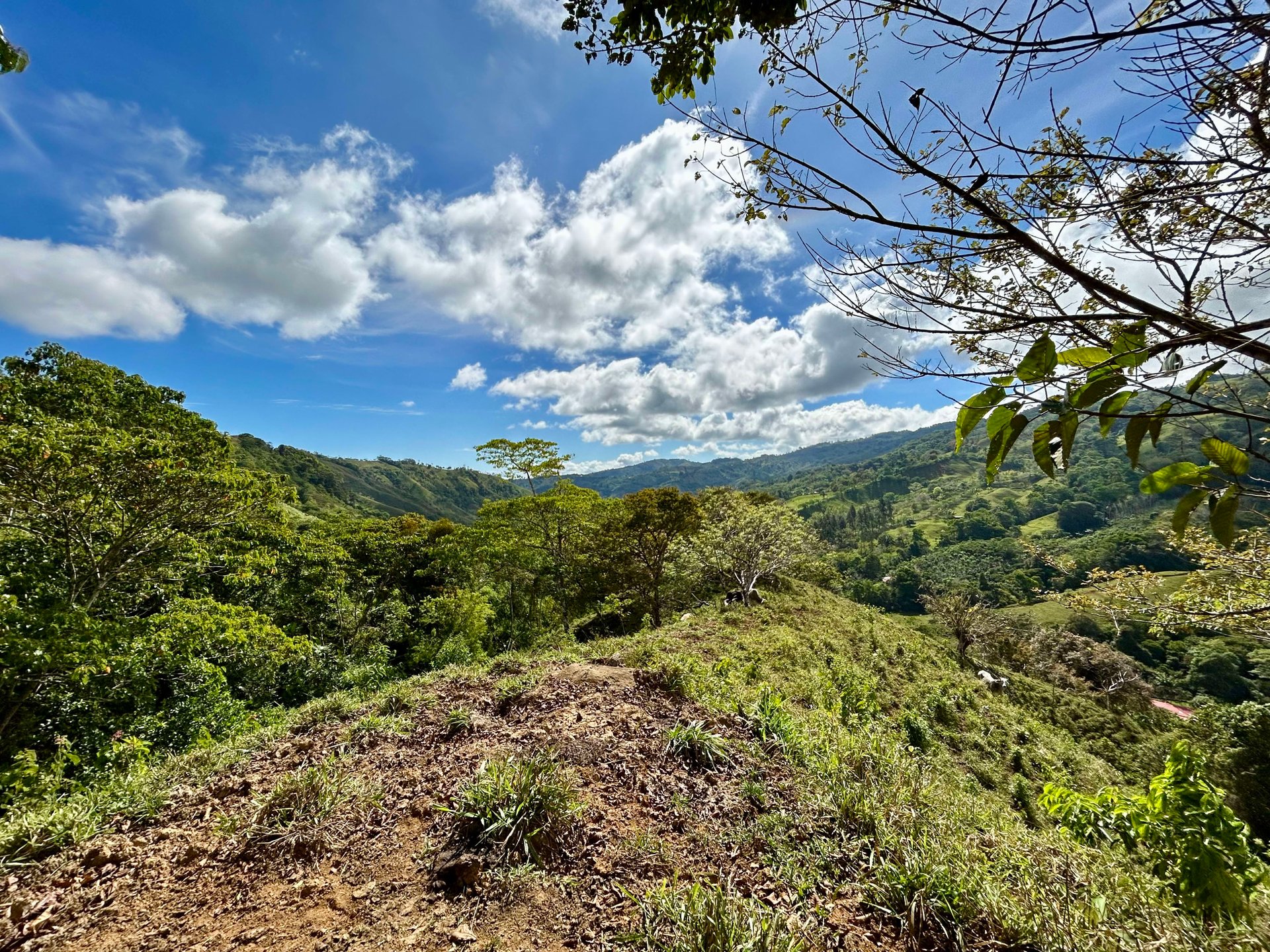 49 Acres Development Farm in San Luis with two Existing Homes 