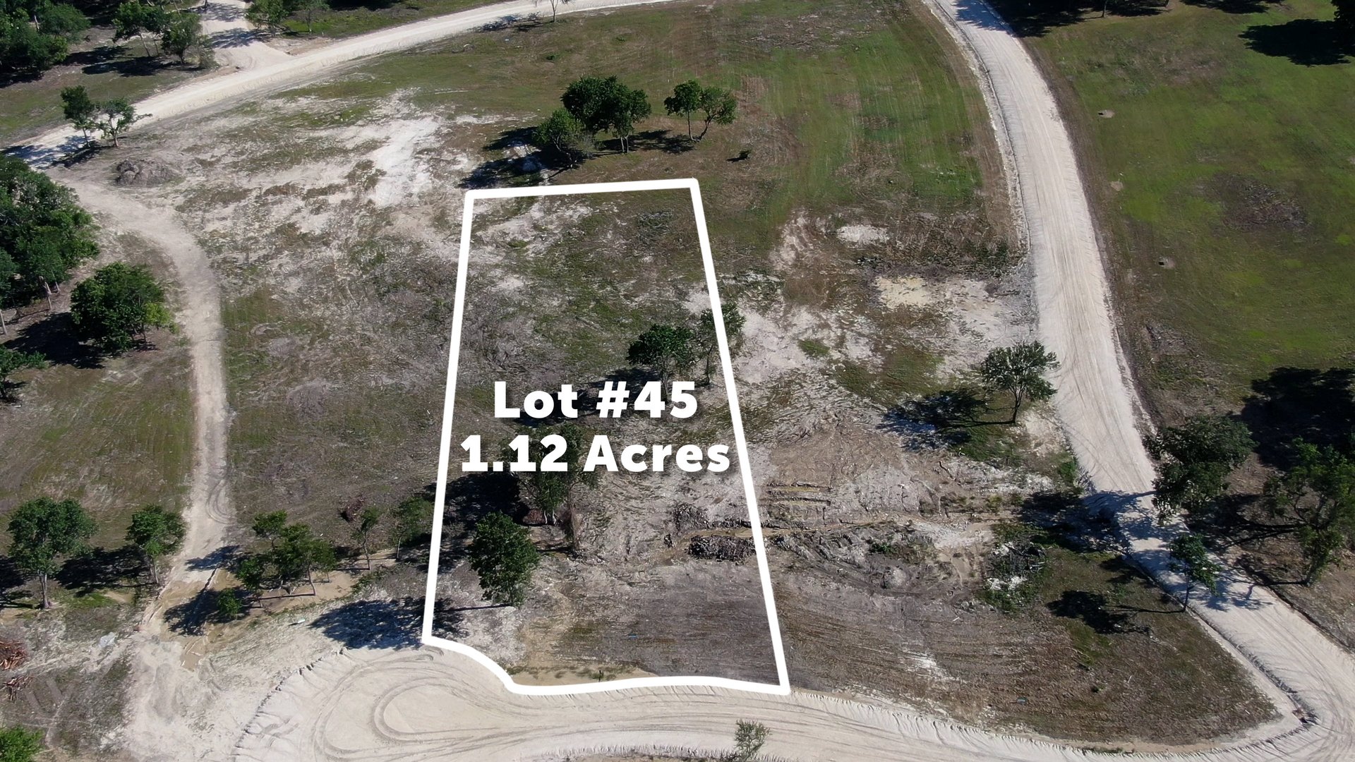 Lot 45