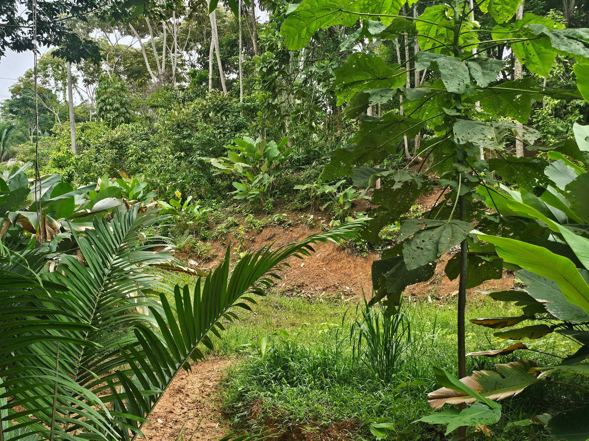 Discover Your Dream in Uvita's Prime Real Estate