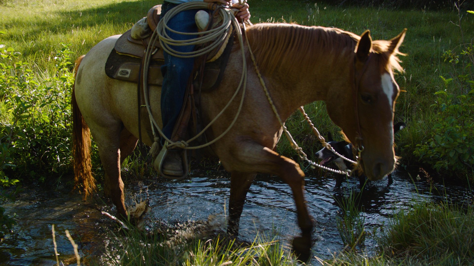Randall Springs Ranch