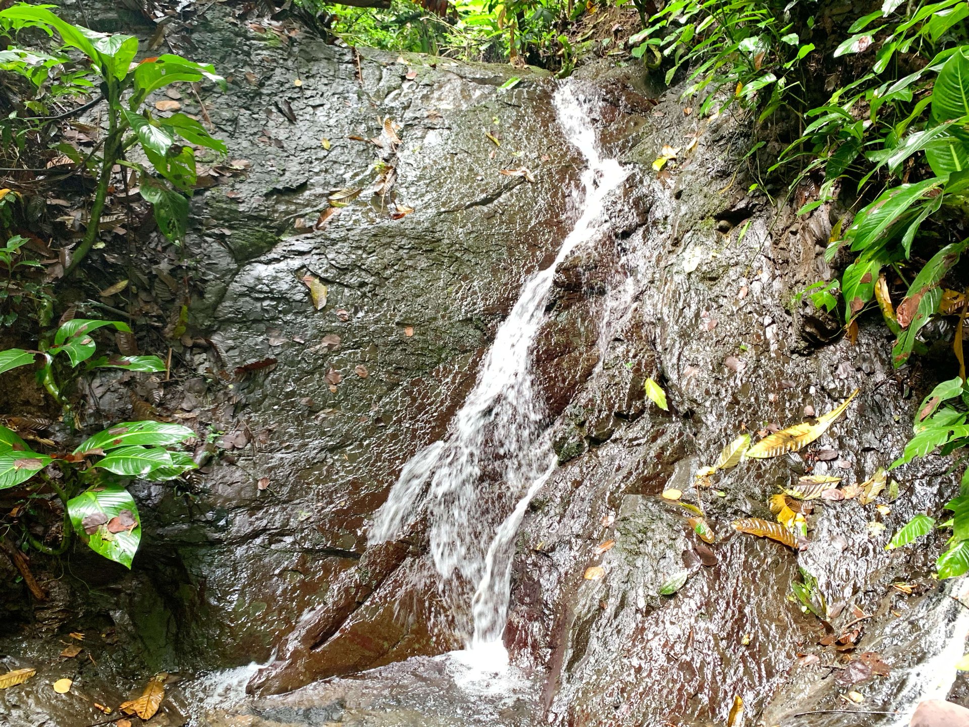 Mountain land with ocean view of Manuel Antonio/Quepos Quepos Puntarenas