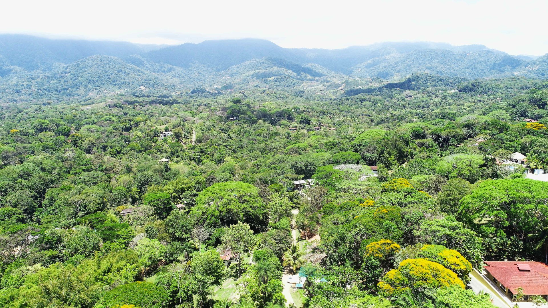 Over One Acre Attractive Lot on the Popular PEREZOSO Road.