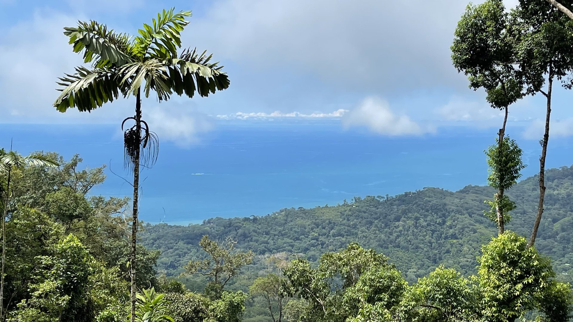 Ocean View Lots in the Exclusive Uvita Mountains. 