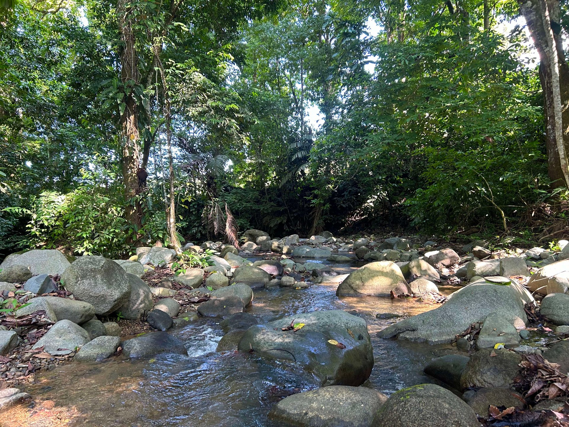 Surfer's Dream in Ojochal; 3 Bedrooms, 2 Bathrooms with Pool and River Access
