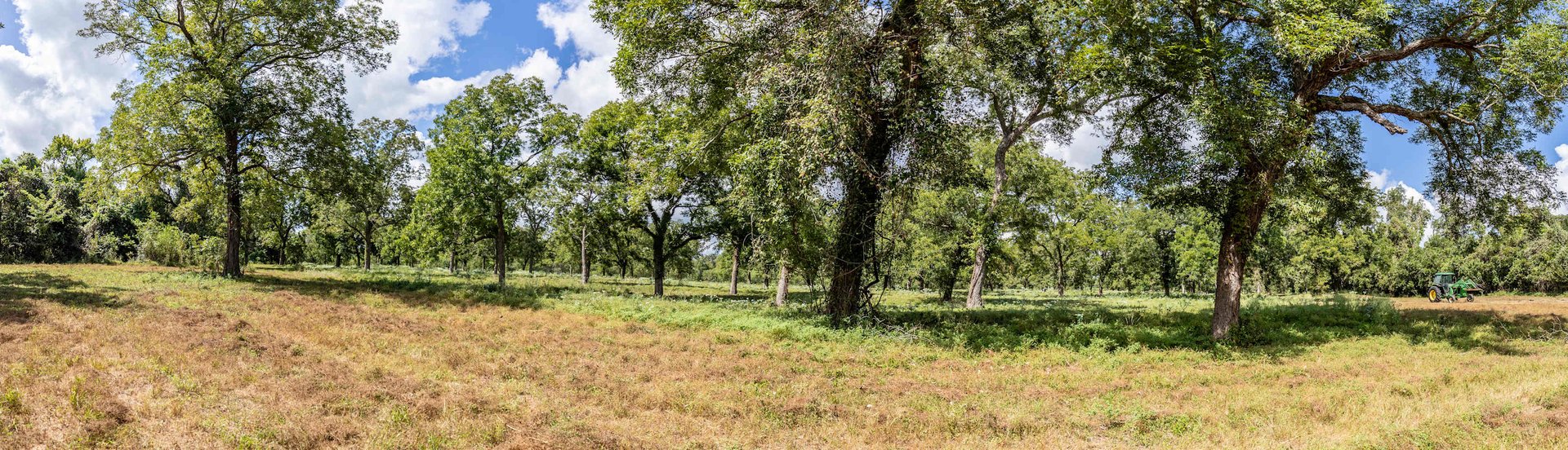 Lovers Lane River Ranch | 140± Acres | DeWitt County