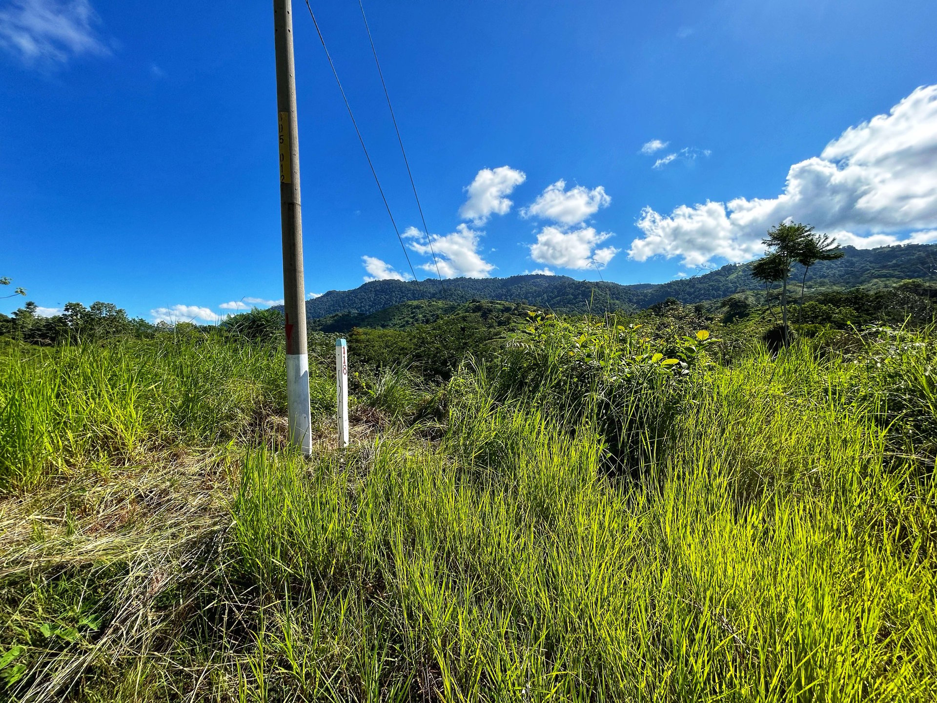 Exclusive Two-Lot Oasis: Your Dream Home Awaits in Gated Paradise!