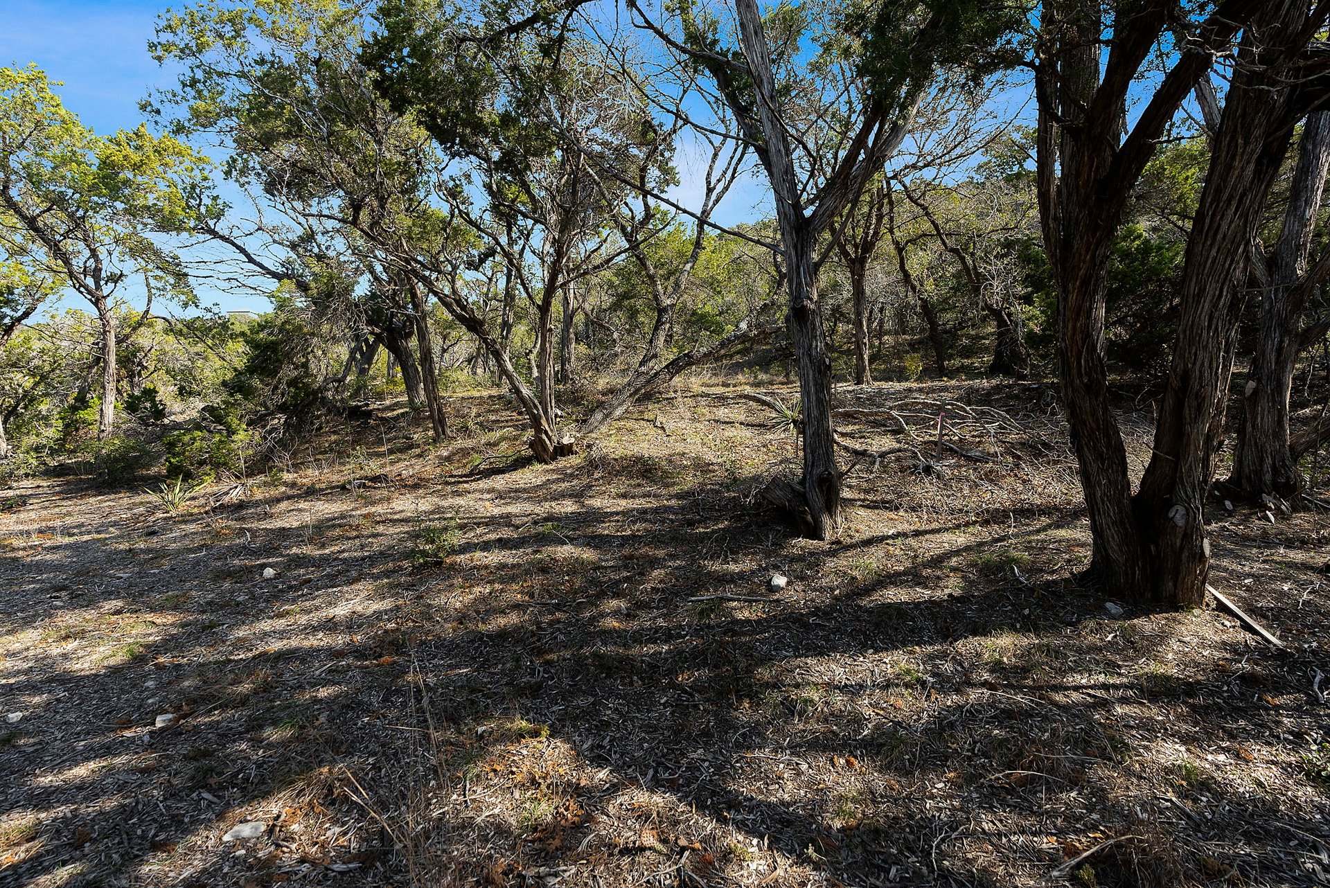 Scenic View Lot For Sale