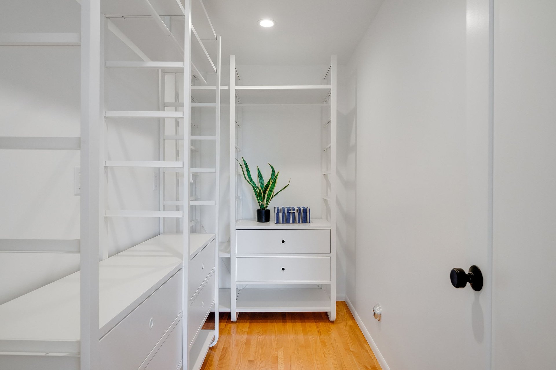 Hip Mid Century Traditional in Franklin Hills 