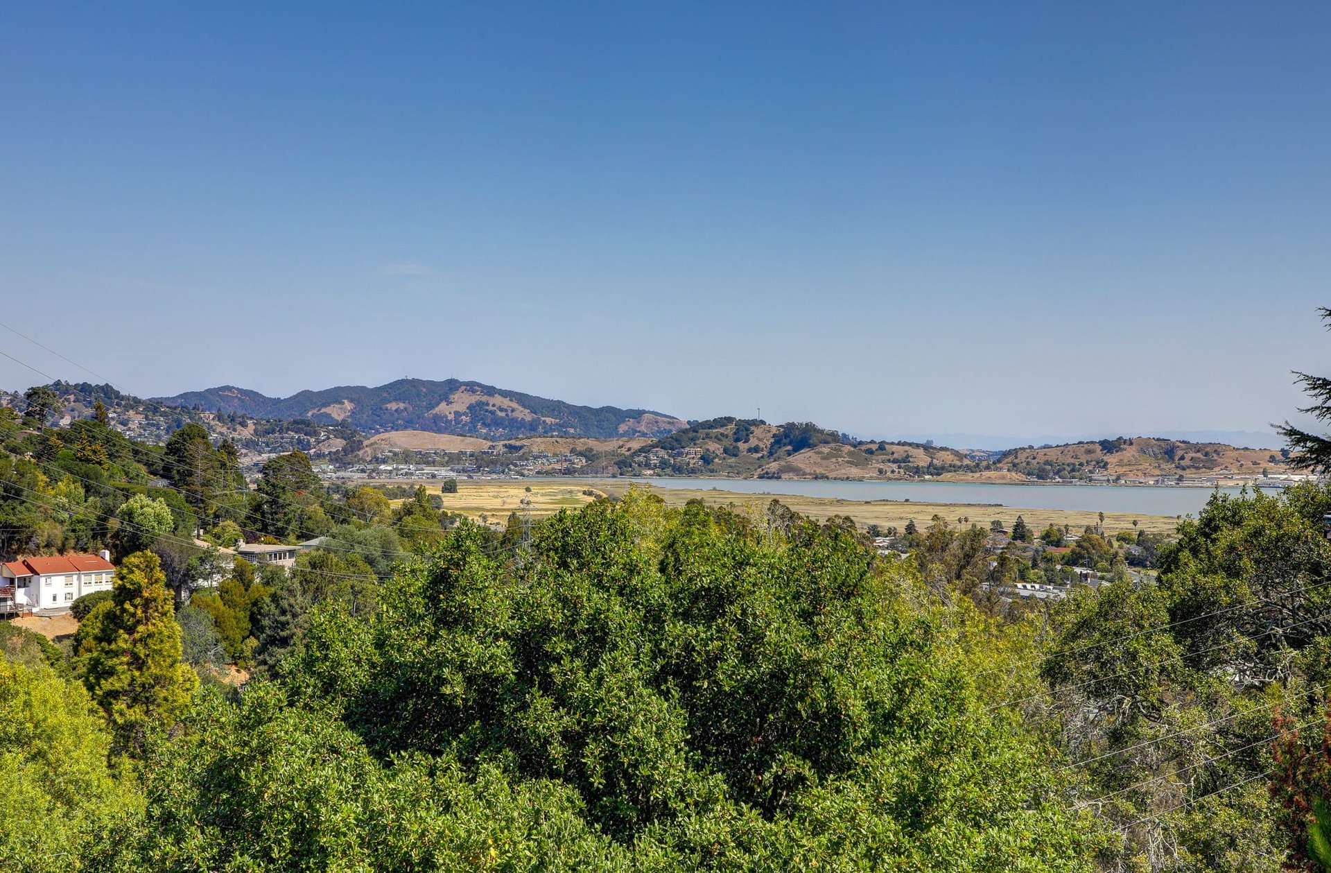 1121 Meadowsweet