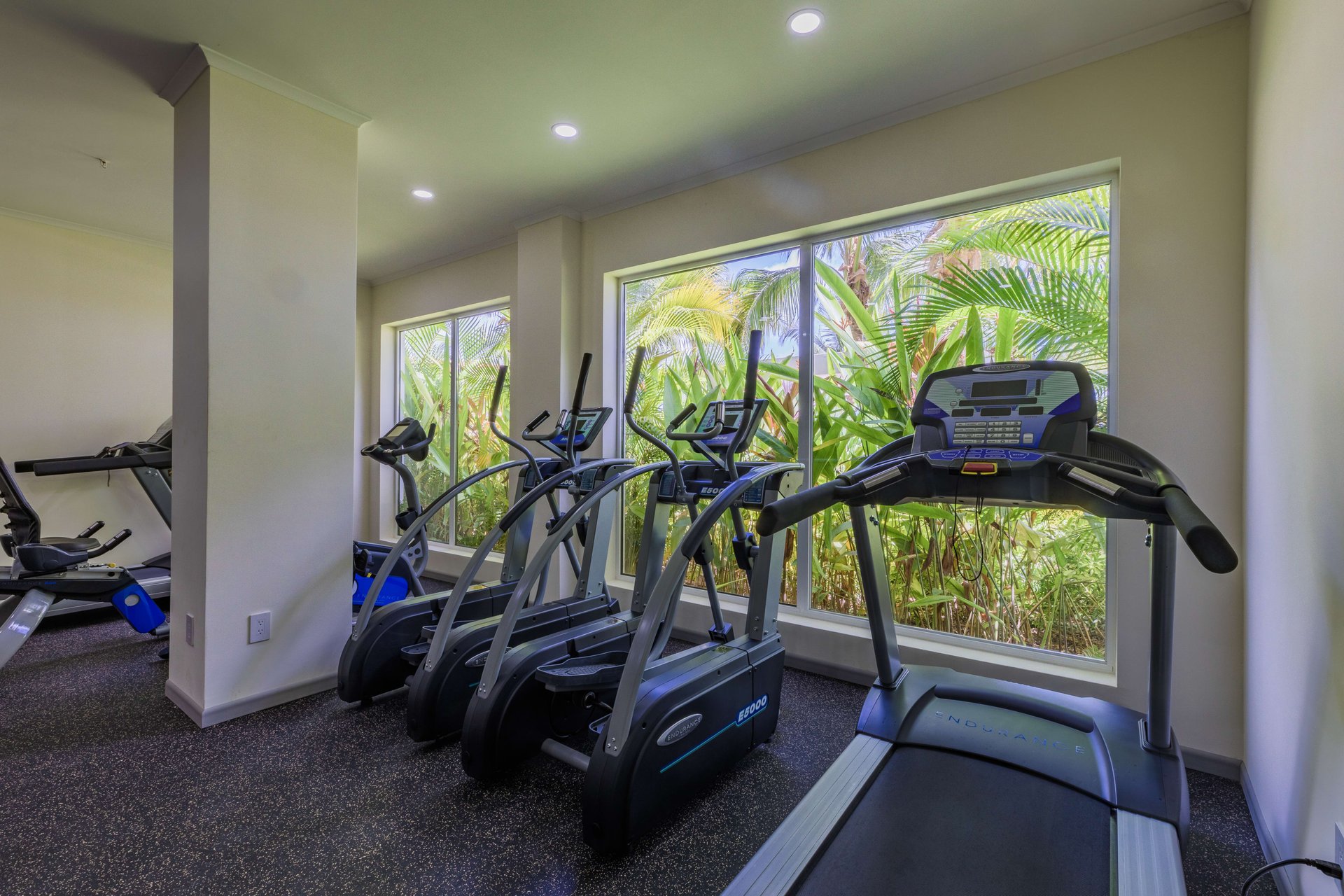 Le Vent Condominium Unit 207