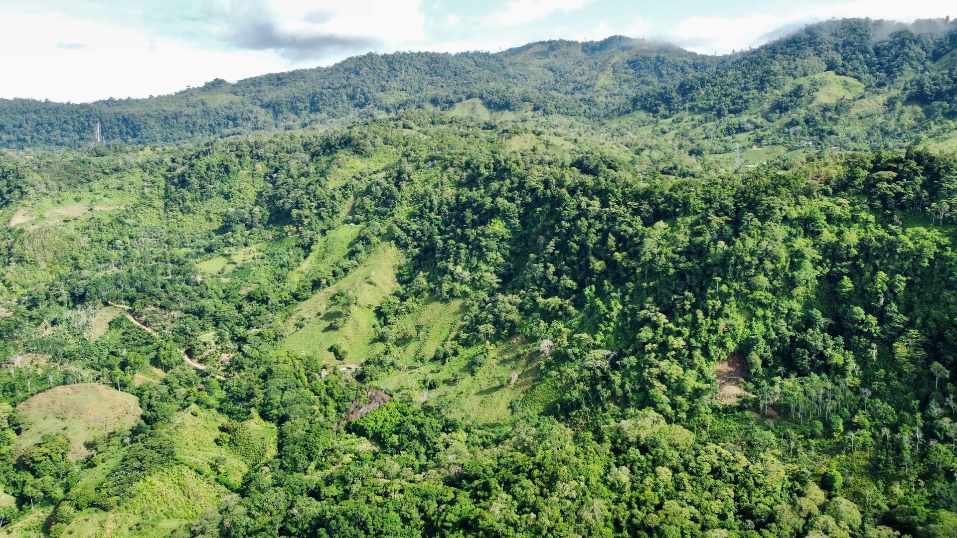 FIRE SALE!! Ocean View Farm in San Luis de Morete, Over 23 Acres