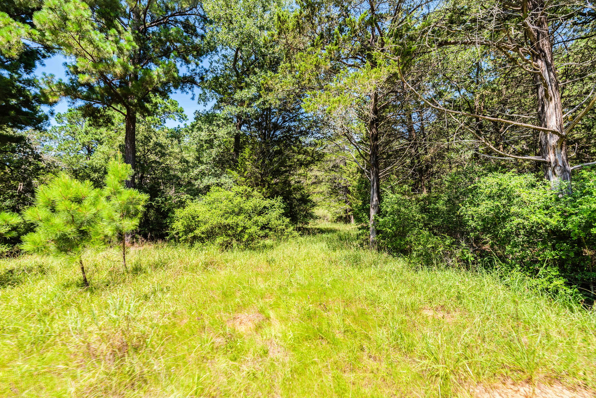 394 Kellar RD