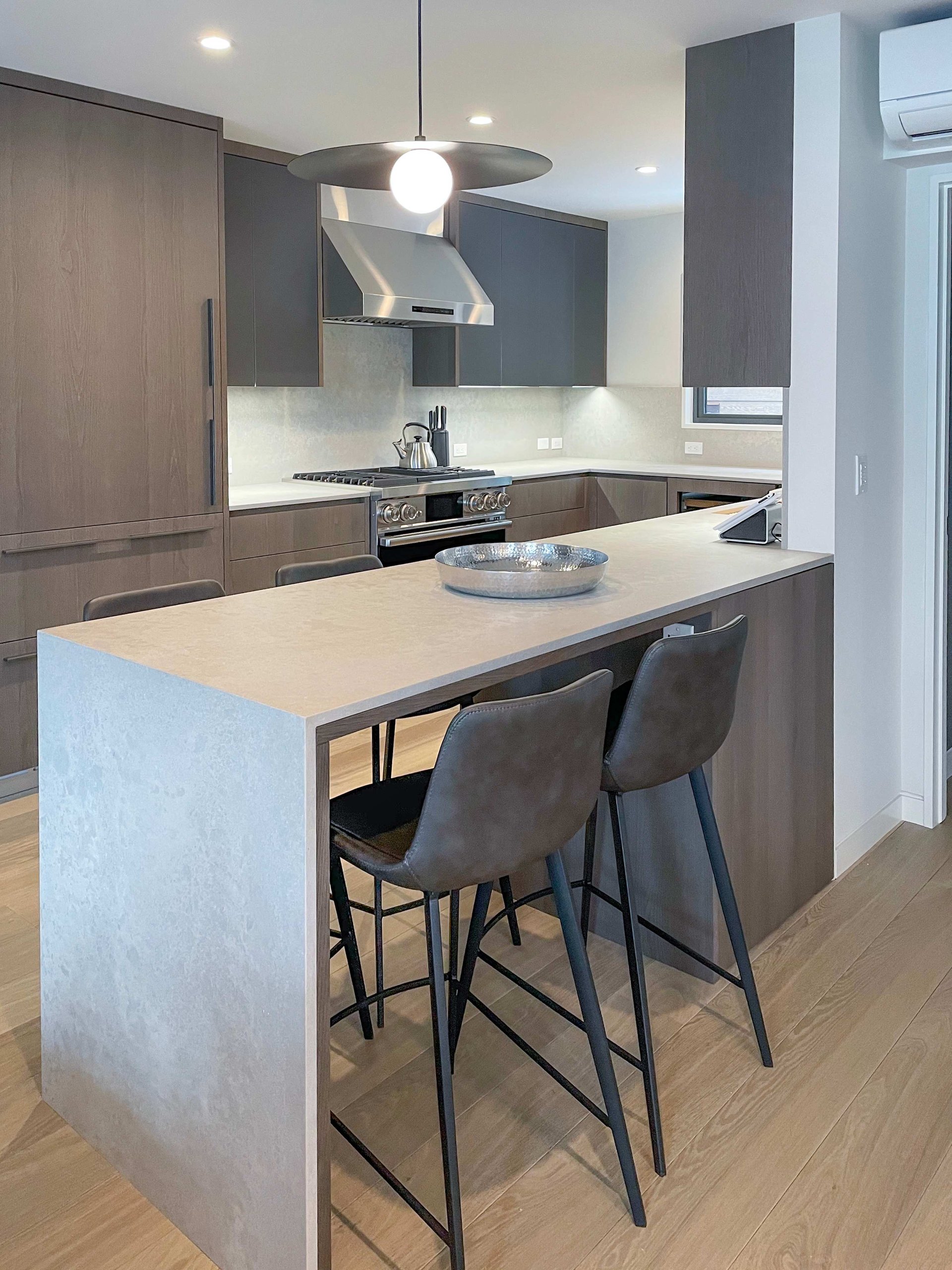 Luxury Townhome One block to Aspen Mountain
