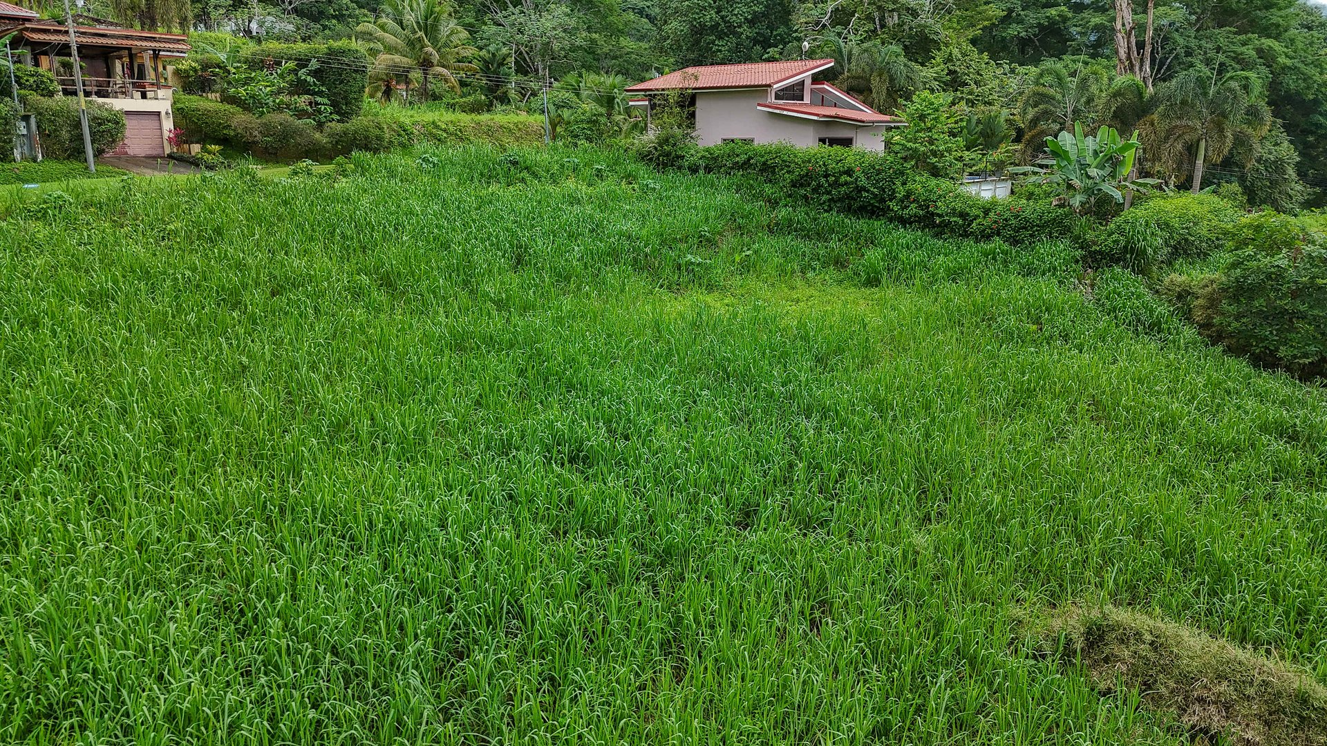 A beautiful sunny lot in a secure gated community with a nearby creek and jungle-covered valley.