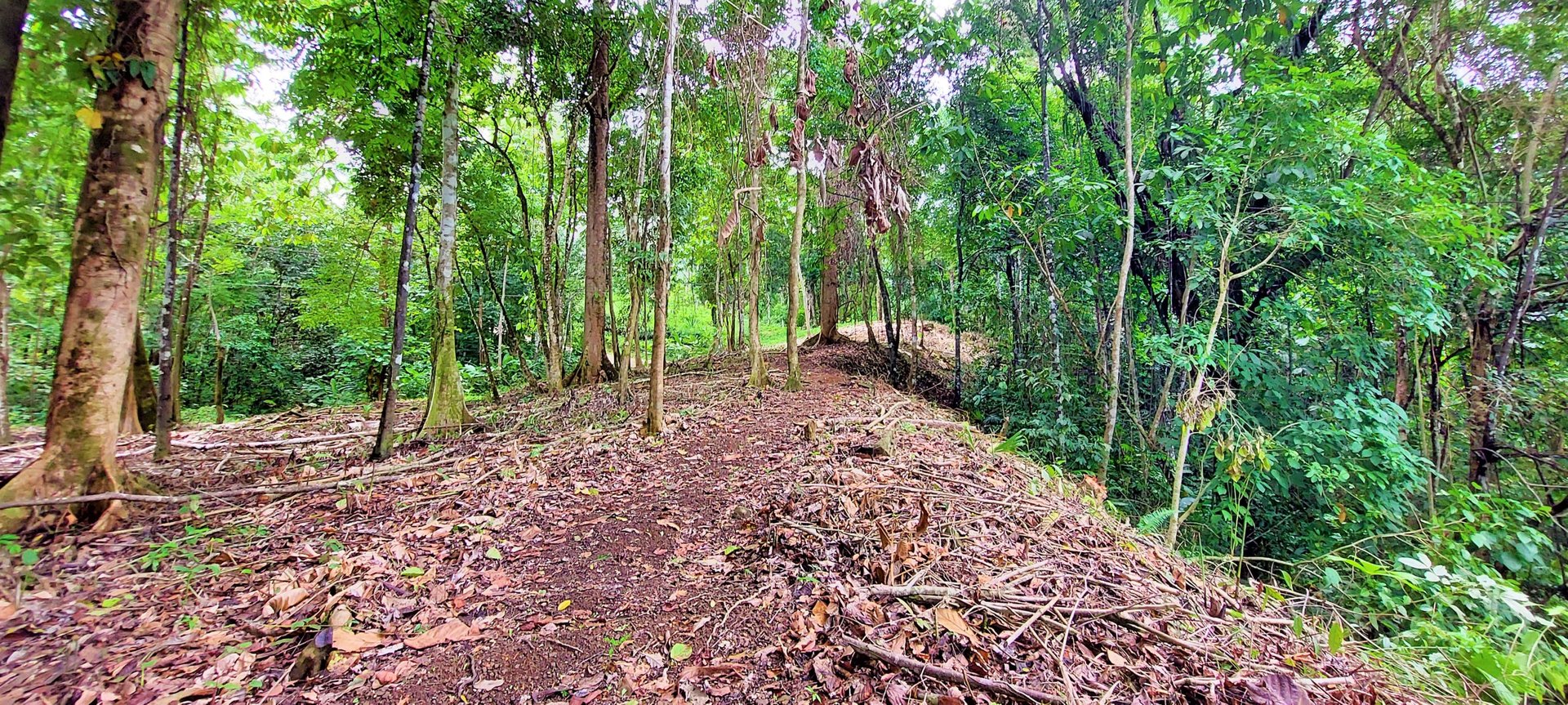 3.5 Acres of Paradise In Uvita, Jungle View!