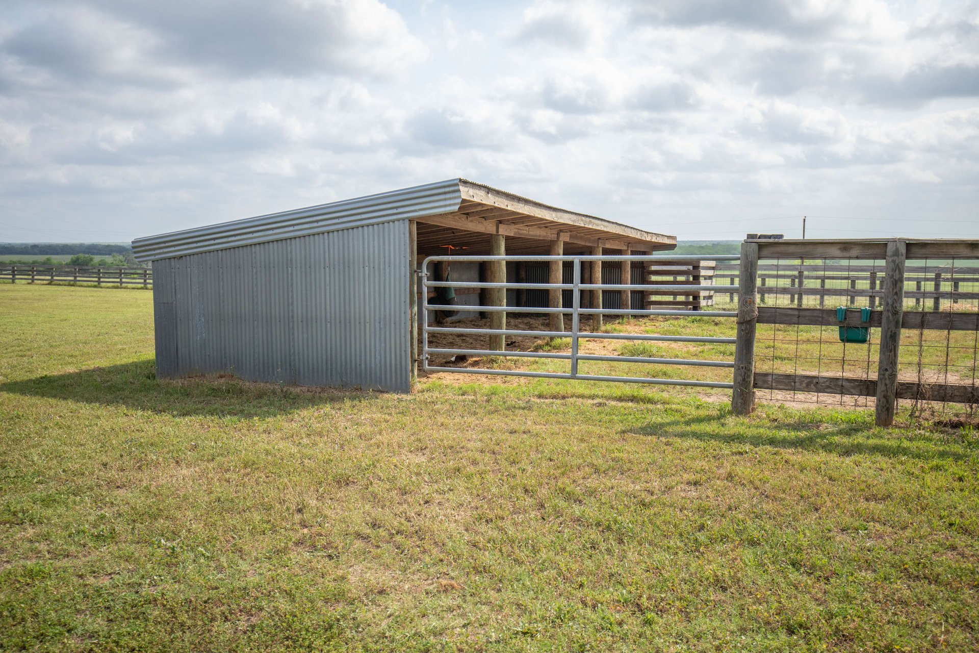 Gorgeous 98.5 Acre Horse Property PLUS           4900 Sq Ft Home
