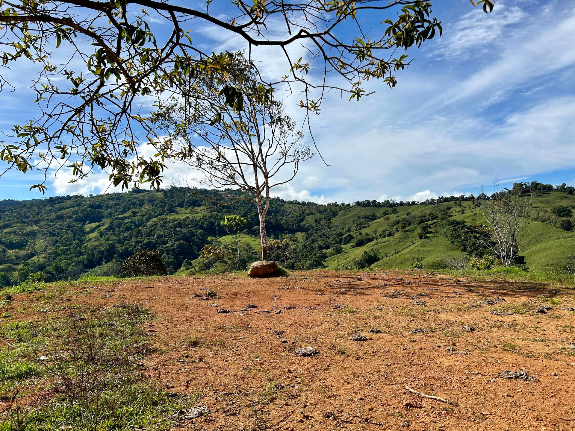 49 Acres Development Farm in San Luis with two Existing Homes 