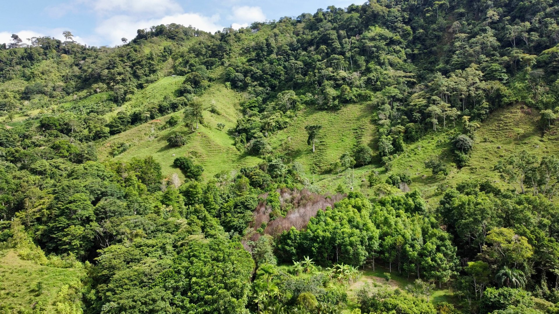 FIRE SALE!! Ocean View Farm in San Luis de Morete, Over 23 Acres