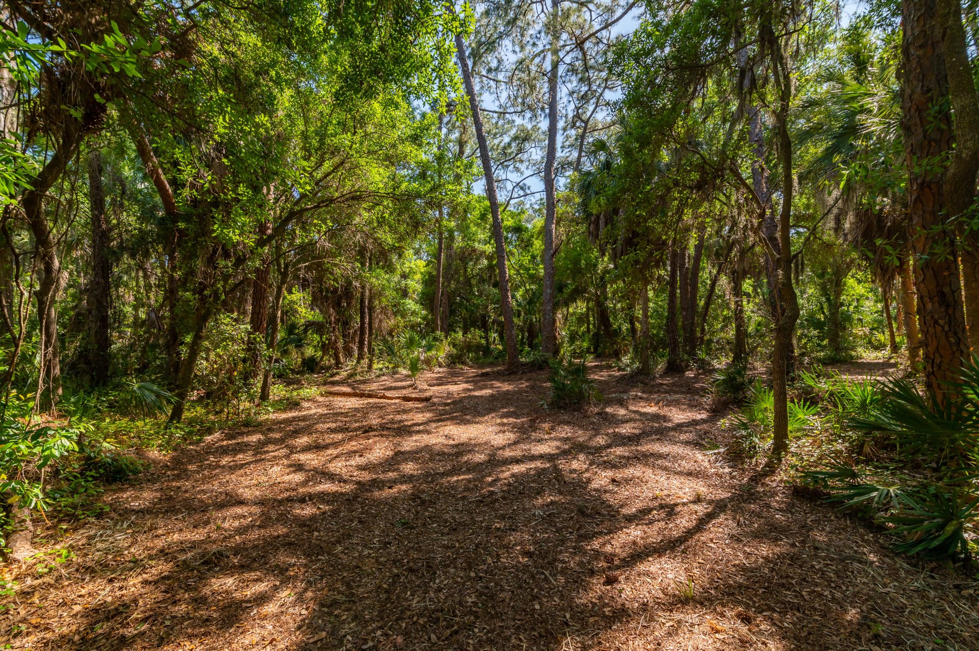 68th Ave East (Lot)