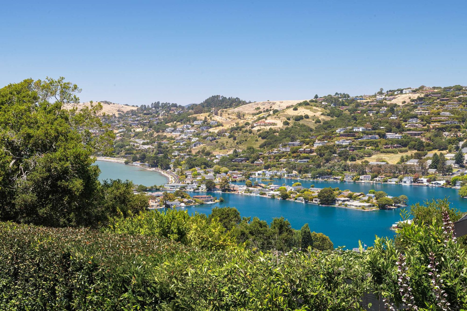 Exceptional Location on Belvedere Island