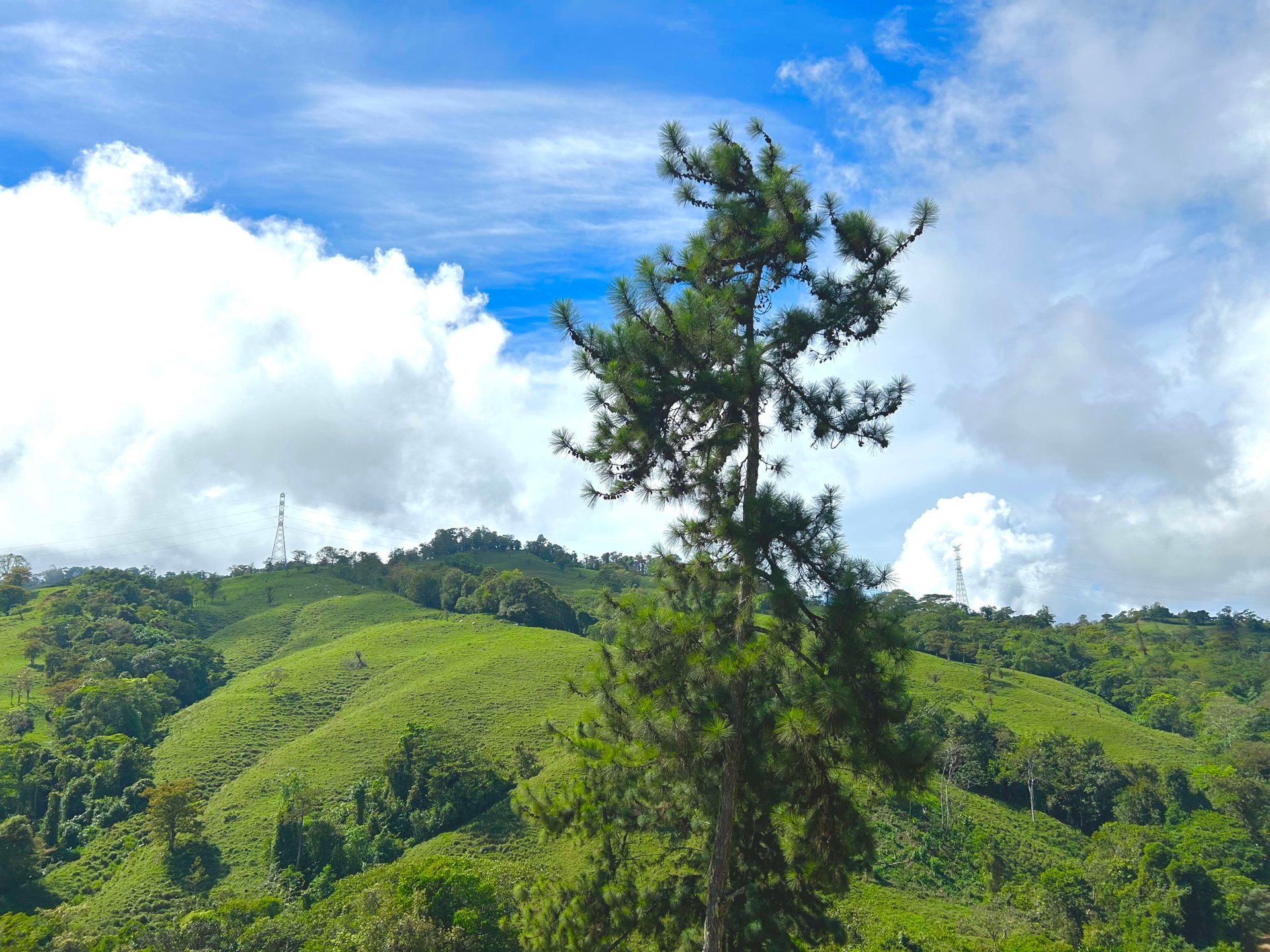 49 Acres Development Farm in San Luis with two Existing Homes 
