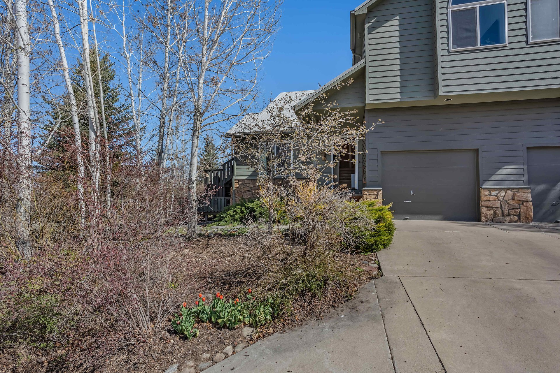 Basalt Towhome with Privacy