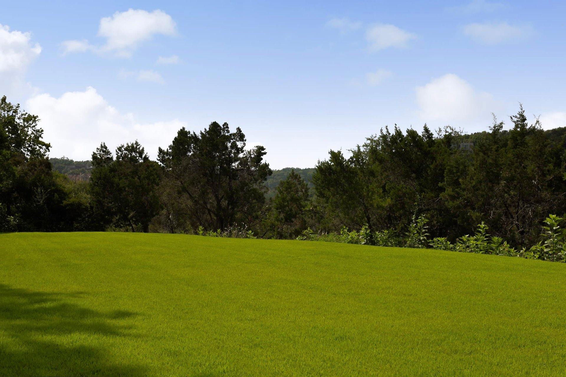 301 Yaupon Valley Road