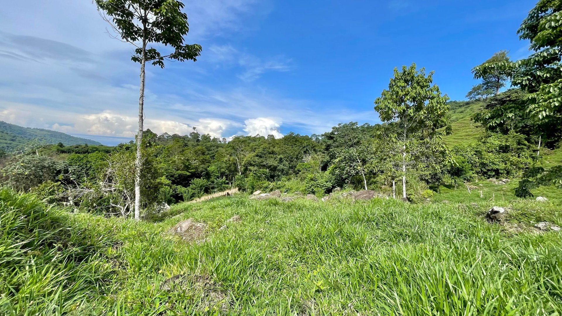FIRE SALE!! Ocean View Farm in San Luis de Morete, Over 23 Acres