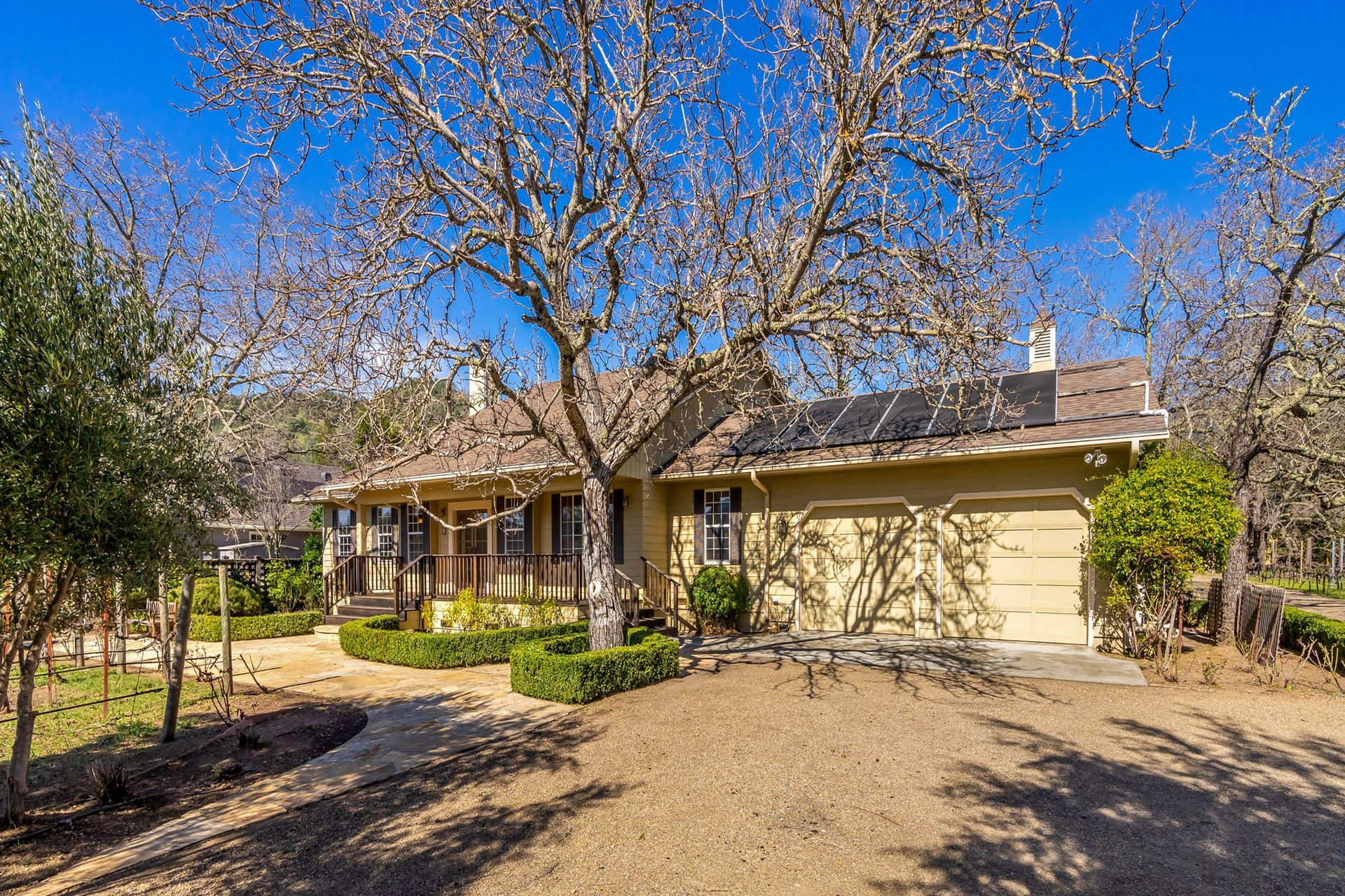 Vineyard Paradise - SOLD