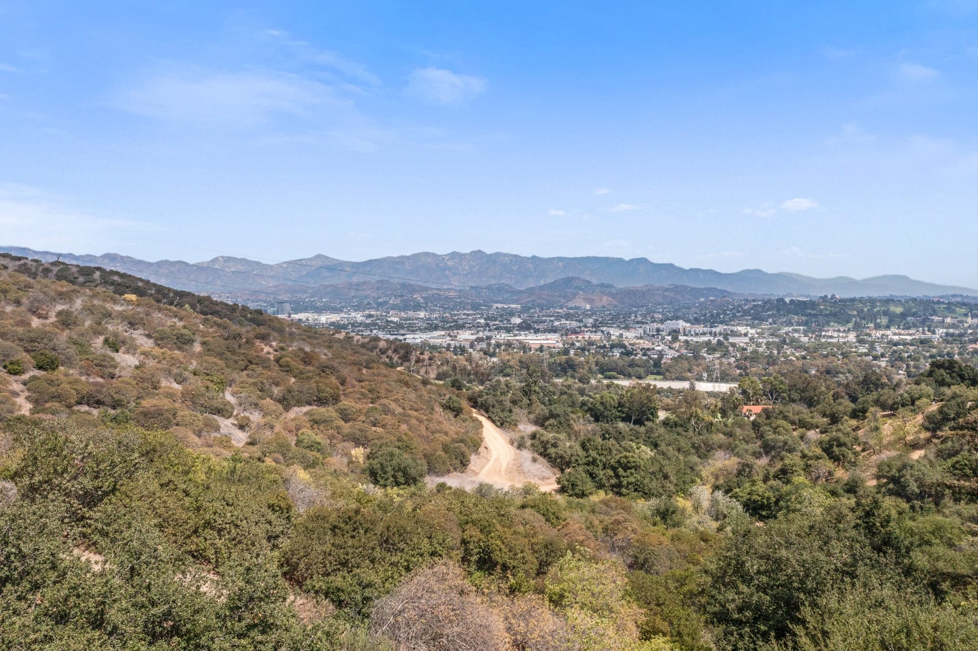 Breathtaking Mid-Century Nature Retreat in Los Feliz