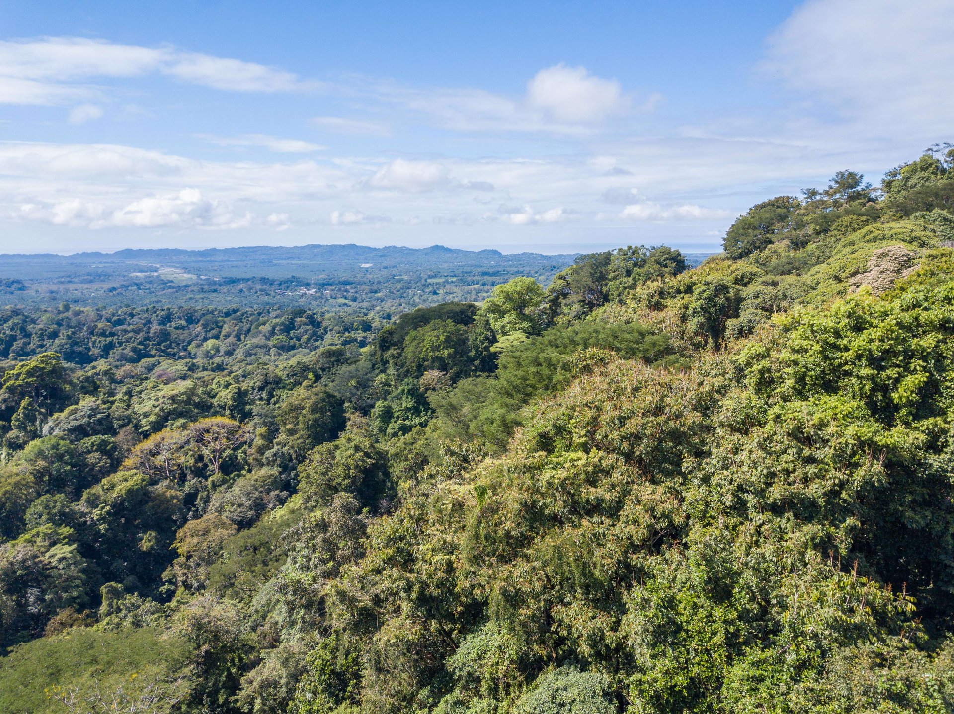 Mountain land with ocean view of Manuel Antonio/Quepos Quepos Puntarenas